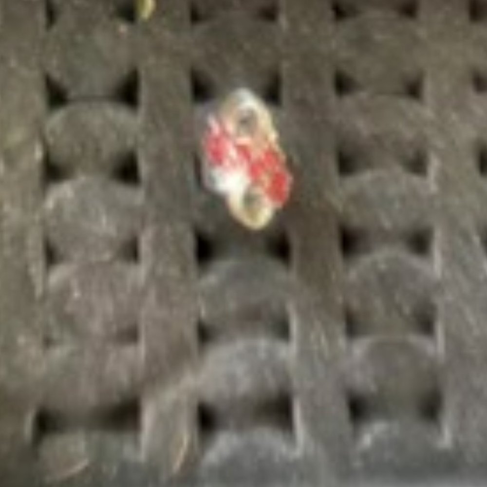 Sterling Silver Ring with red stones